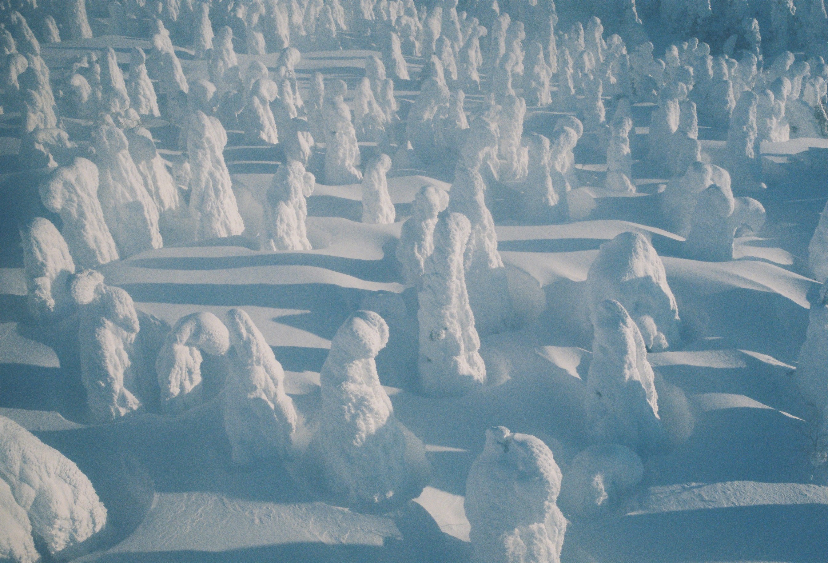 山形県・蔵王｜憧れの“スノーモンスター”を探して、豪雪の山へ。｜ 3月の山