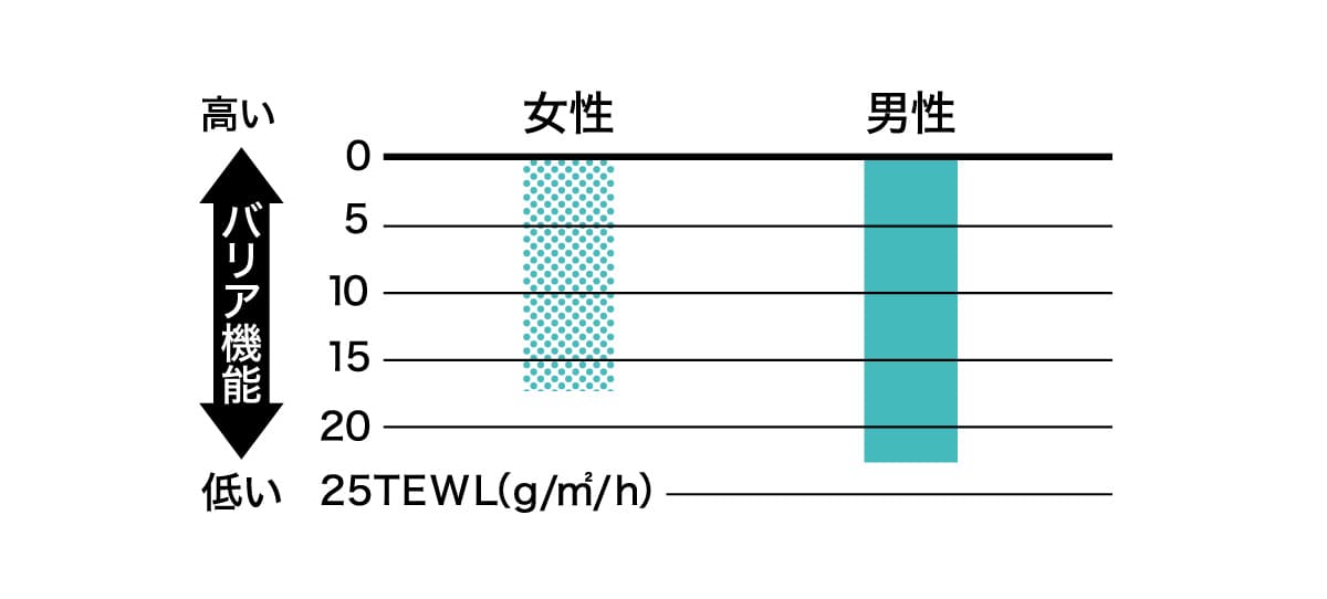 皮膚の水分バリア機能の評価の棒グラフ：女性16
くらい・男性22くらいと数値が高い方がバリア機能が低い