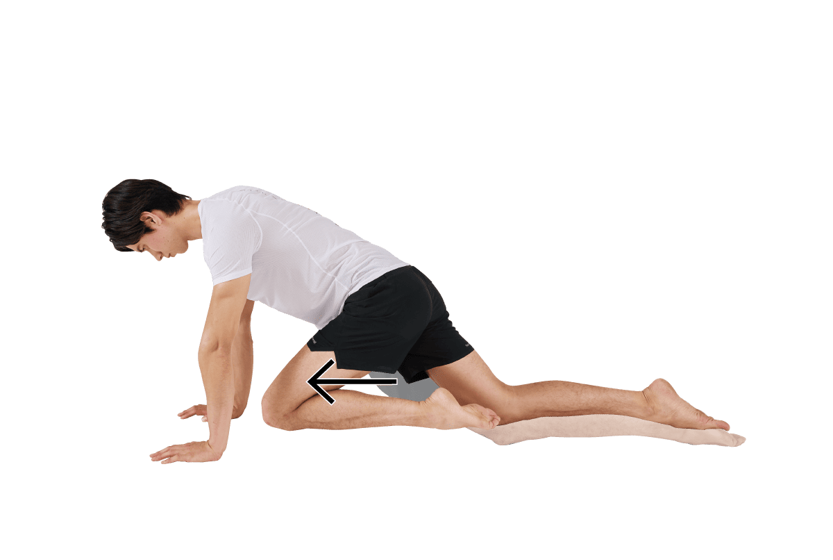 ハイプランク・スコルピオンリーチ