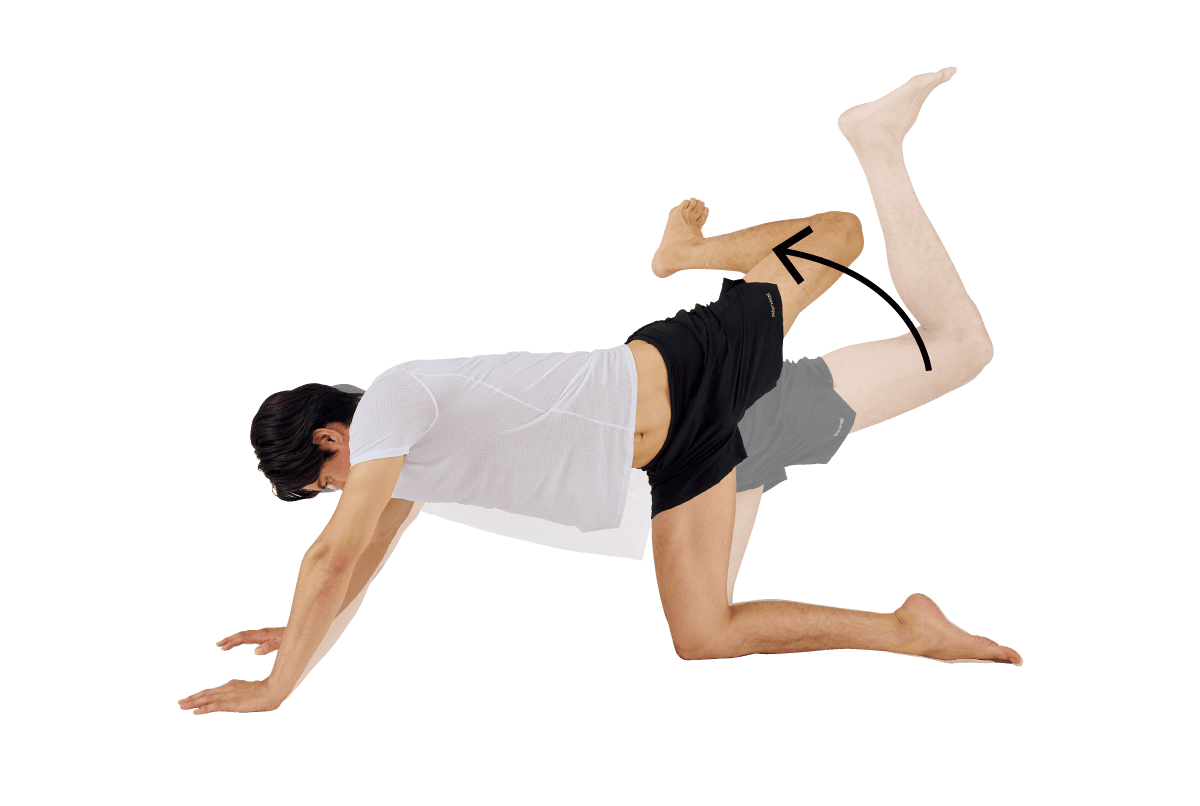 ハイプランク・スコルピオンリーチ