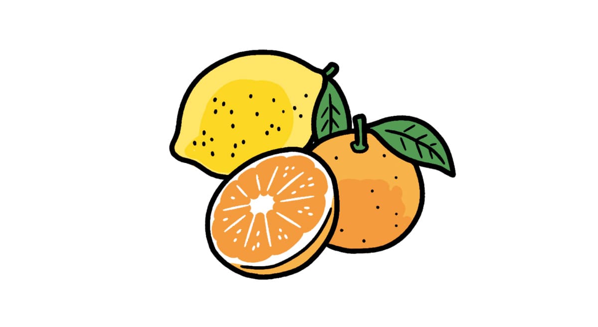 レモンとオレンジのイラスト