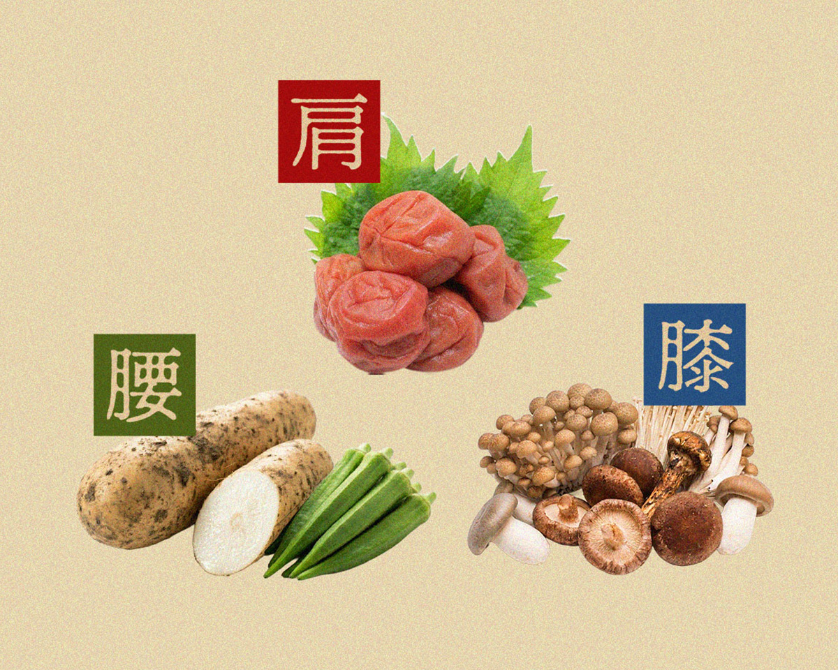 東洋医学で肩こり・膝・腰を養生できる食材