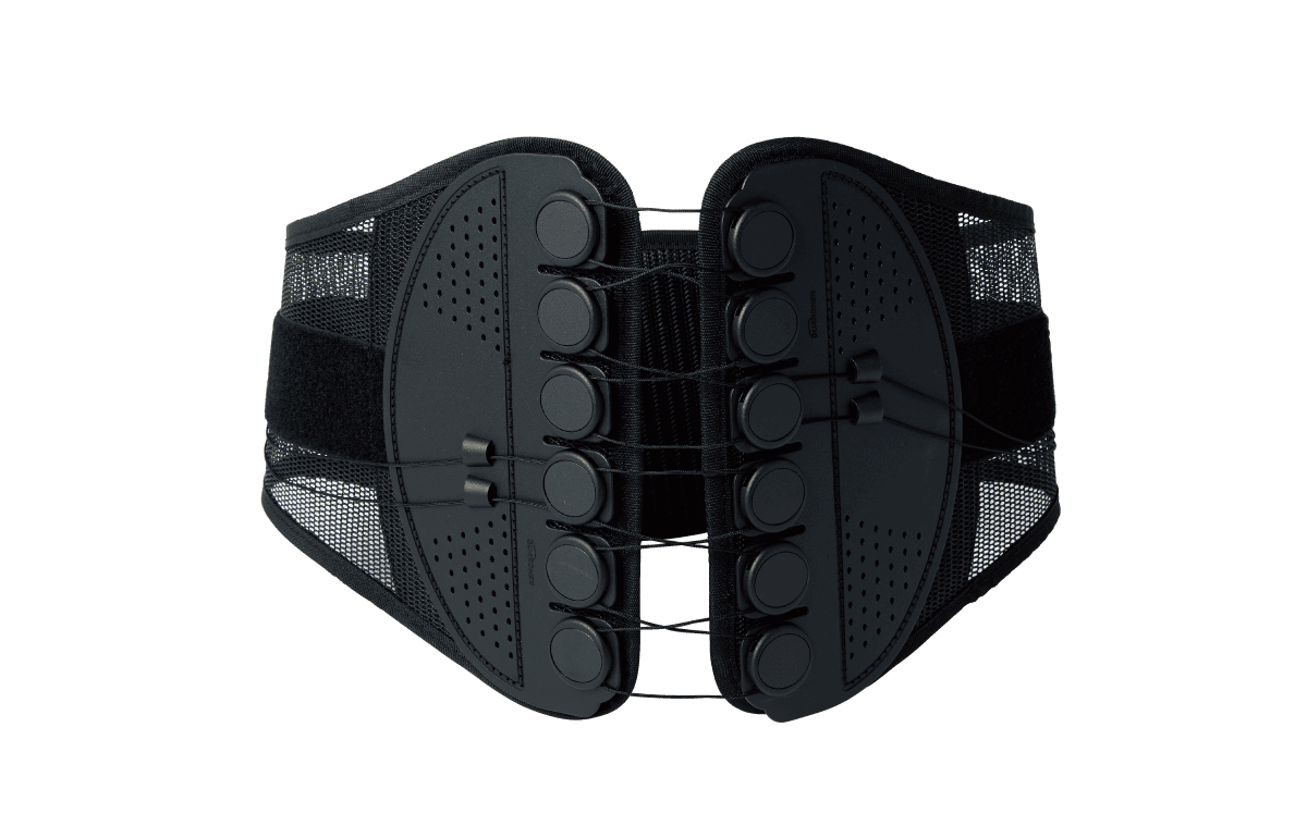 《ガードナーベルト》