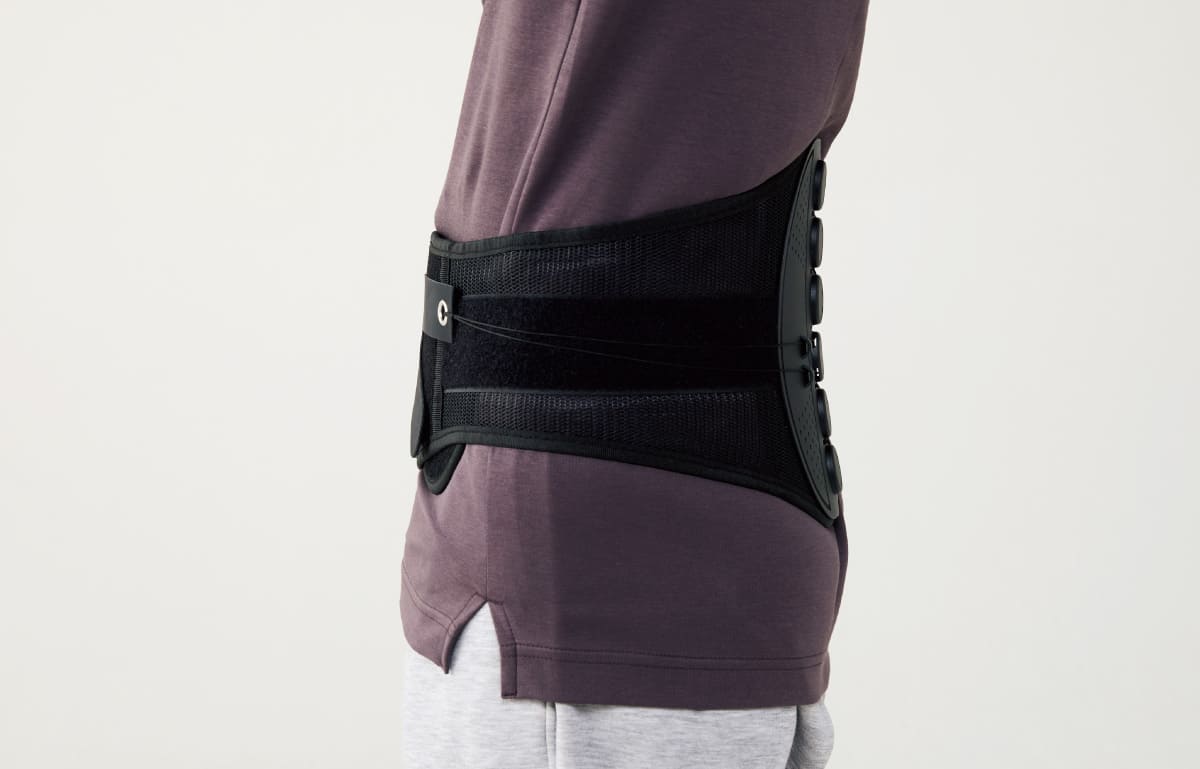 《ガードナーベルト》を使用している画像