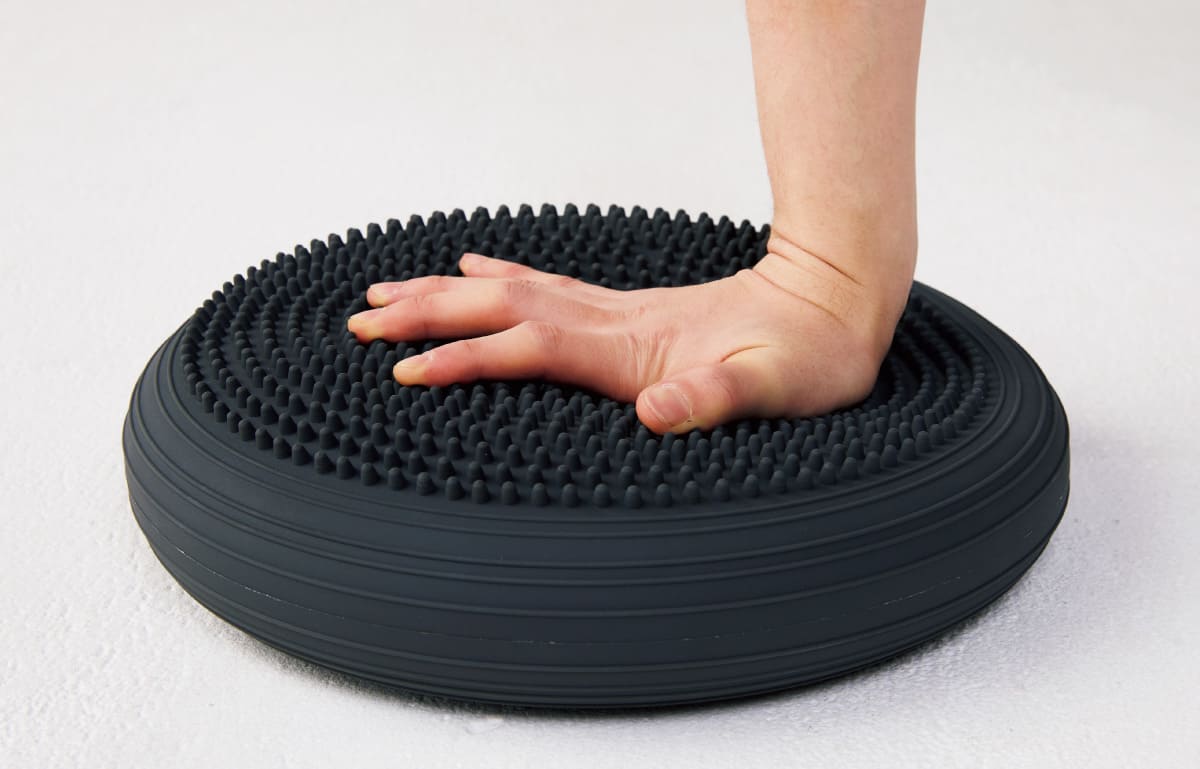 《タニタサイズ バランスクッション》