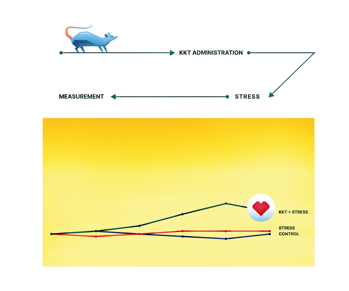 ネズミを使用した実験のグラフ