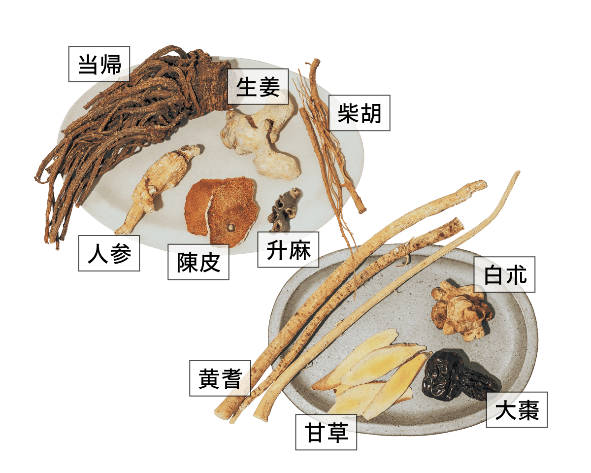 補中益気湯(ほちゅうえっきとう)