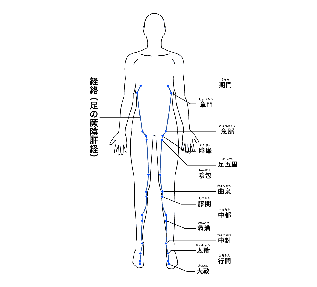 全身のイラストにツボが示してある