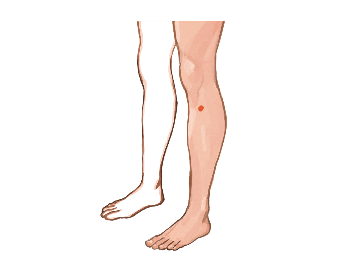 足三里のツボがマークしてあるイラスト