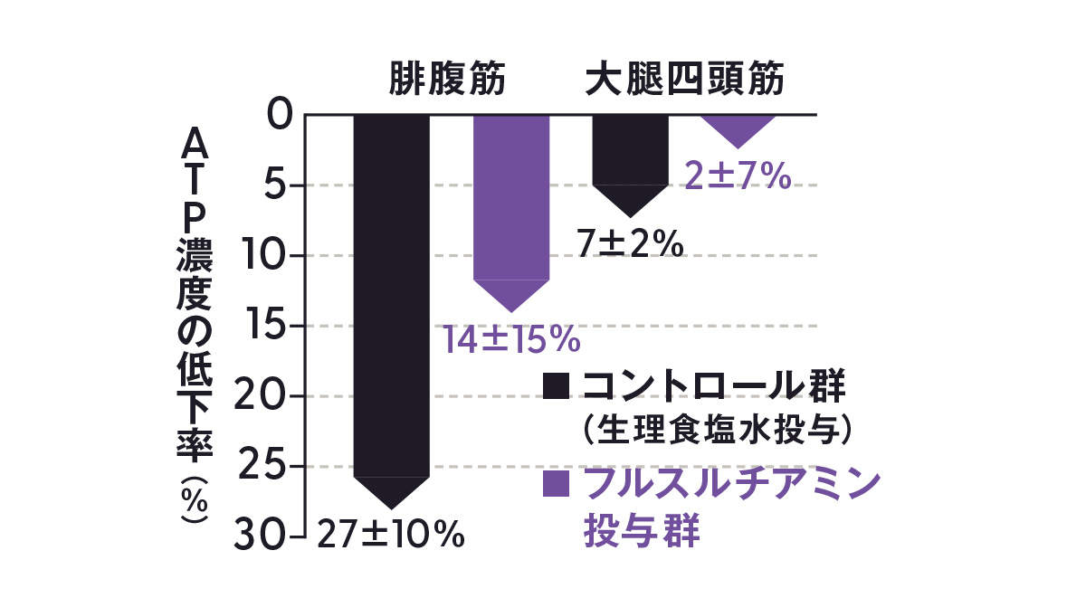フルスルチアミン投与により、筋ATPの減少が抑制された図