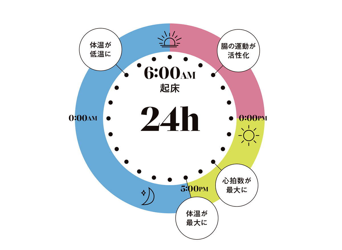 24時間の活動モデル