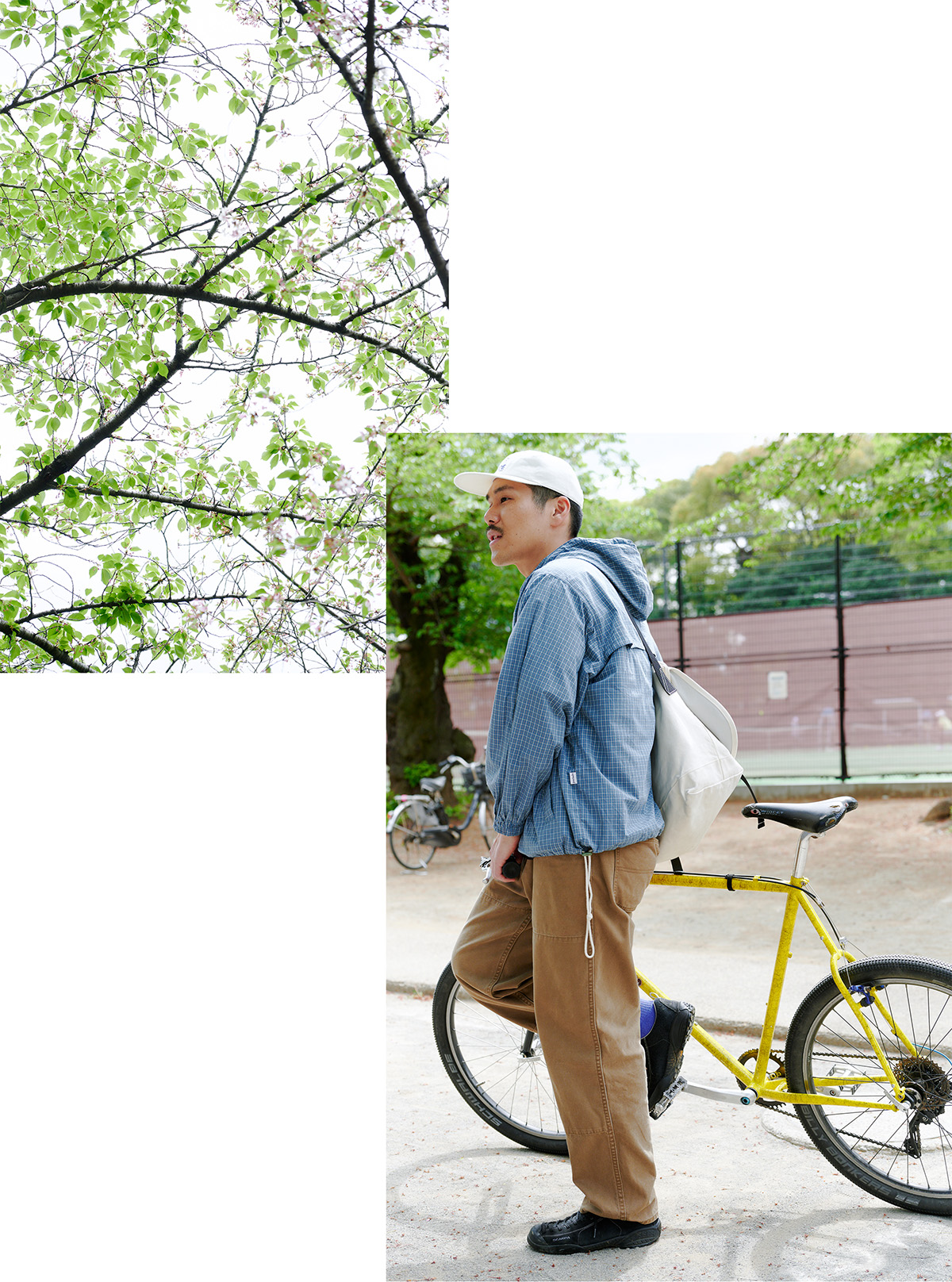 哲学堂公園 自転車