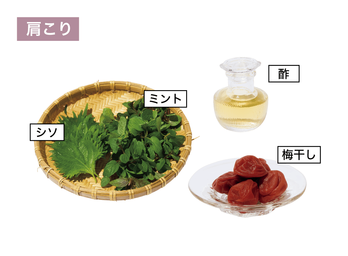 肩こり・お酢、梅、ミント、シソ