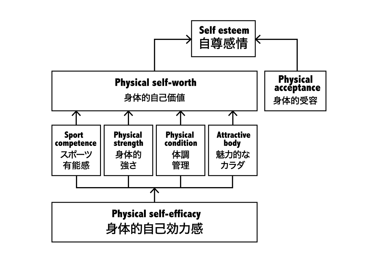運動と自尊感情モデル（EXSEM）の図