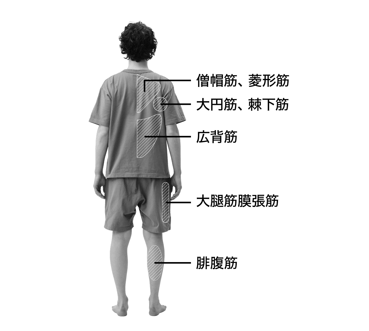 ほぐす筋肉を表記している男性の後ろ姿