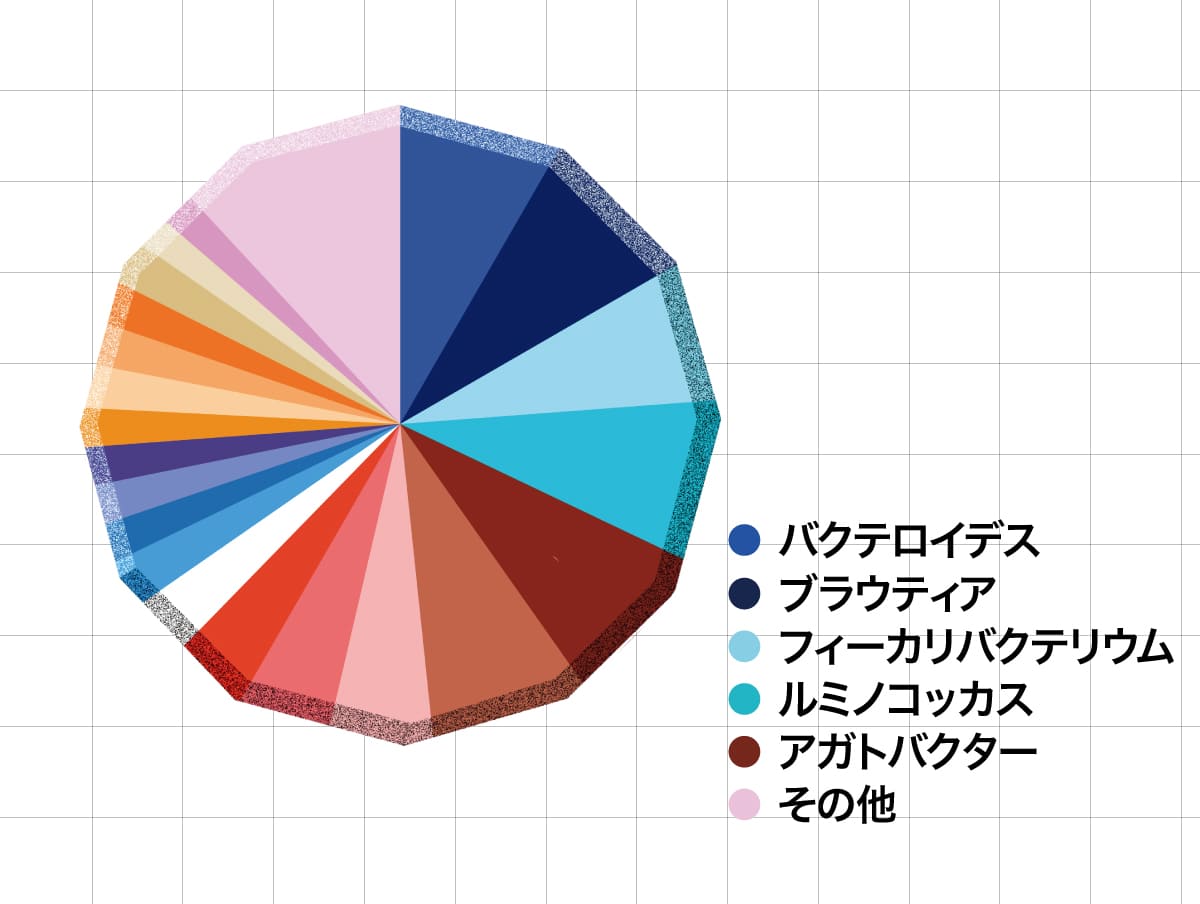 井上咲良さんの腸内フローラ結果