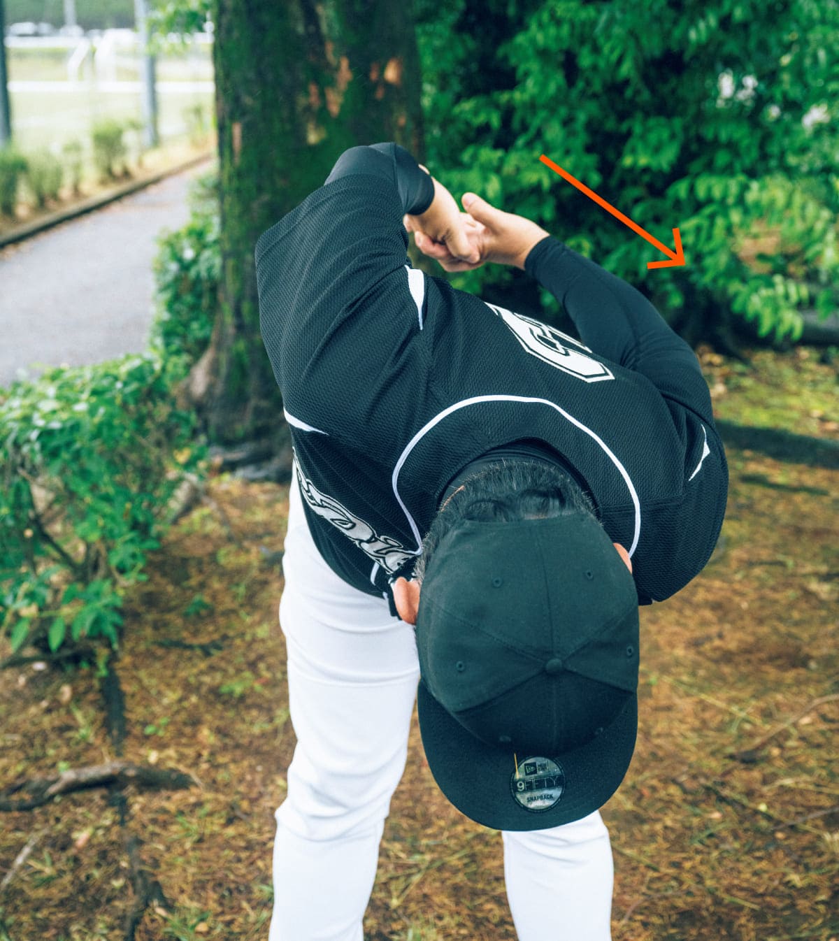 背骨の正しい動きを引き出し、しなやかに連動する肩甲骨にするストレッチ