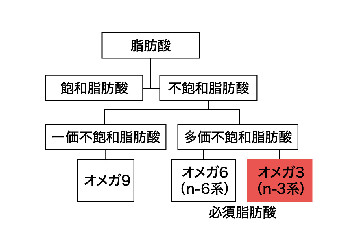 脂肪酸の種類を表した図:オメガ3脂肪酸にマーク