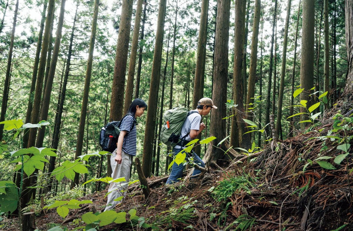 山道を歩いている様子