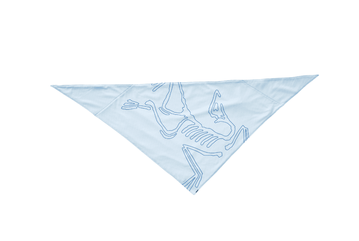 〈ARC'TERYX〉