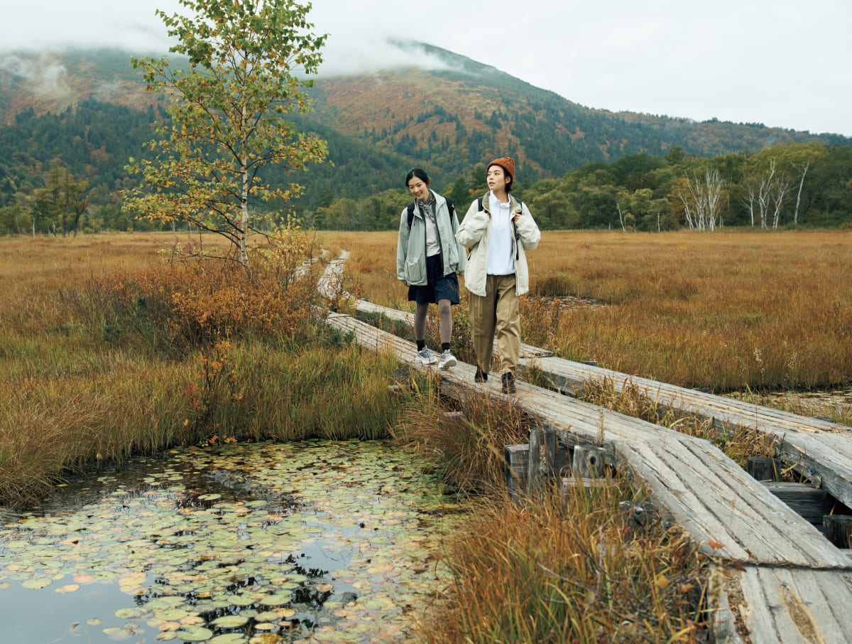 尾瀬国立公園の遊歩道でハイキングしている様子
