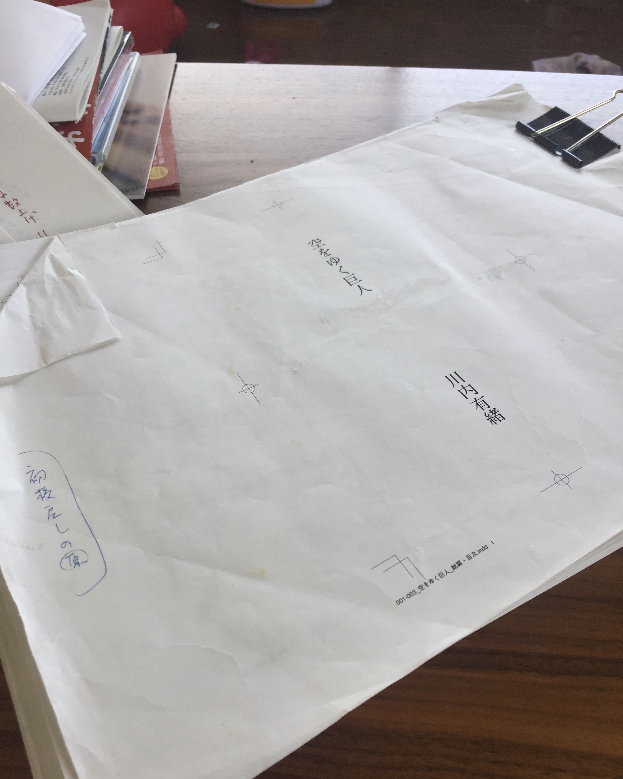 直感のままに踏み出せば、自分だけの冒険が始まる｜自分の旅のつくりかた。 vol.08 川内有緒（ノンフィクション作家）