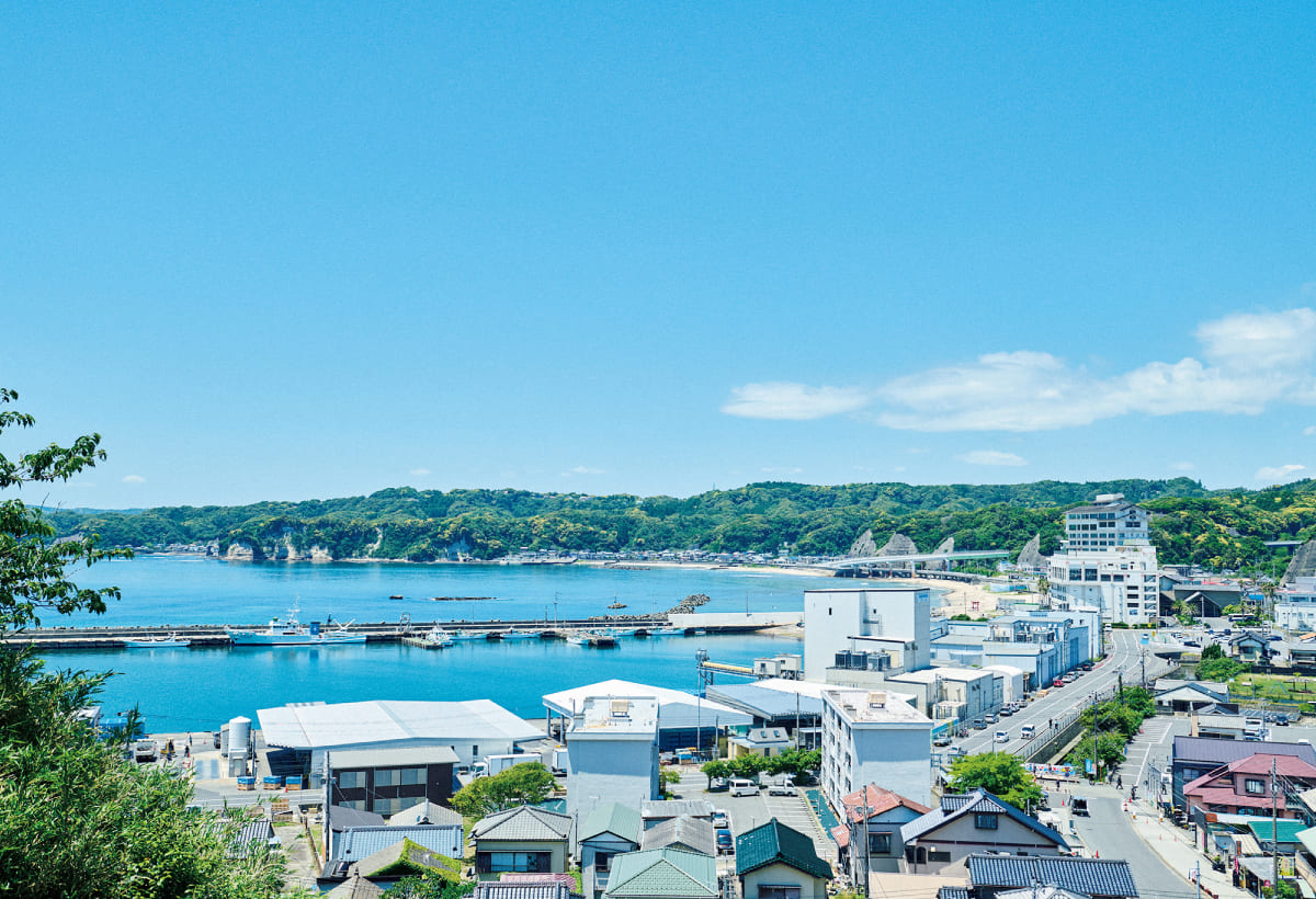 遠見岬神の景色
