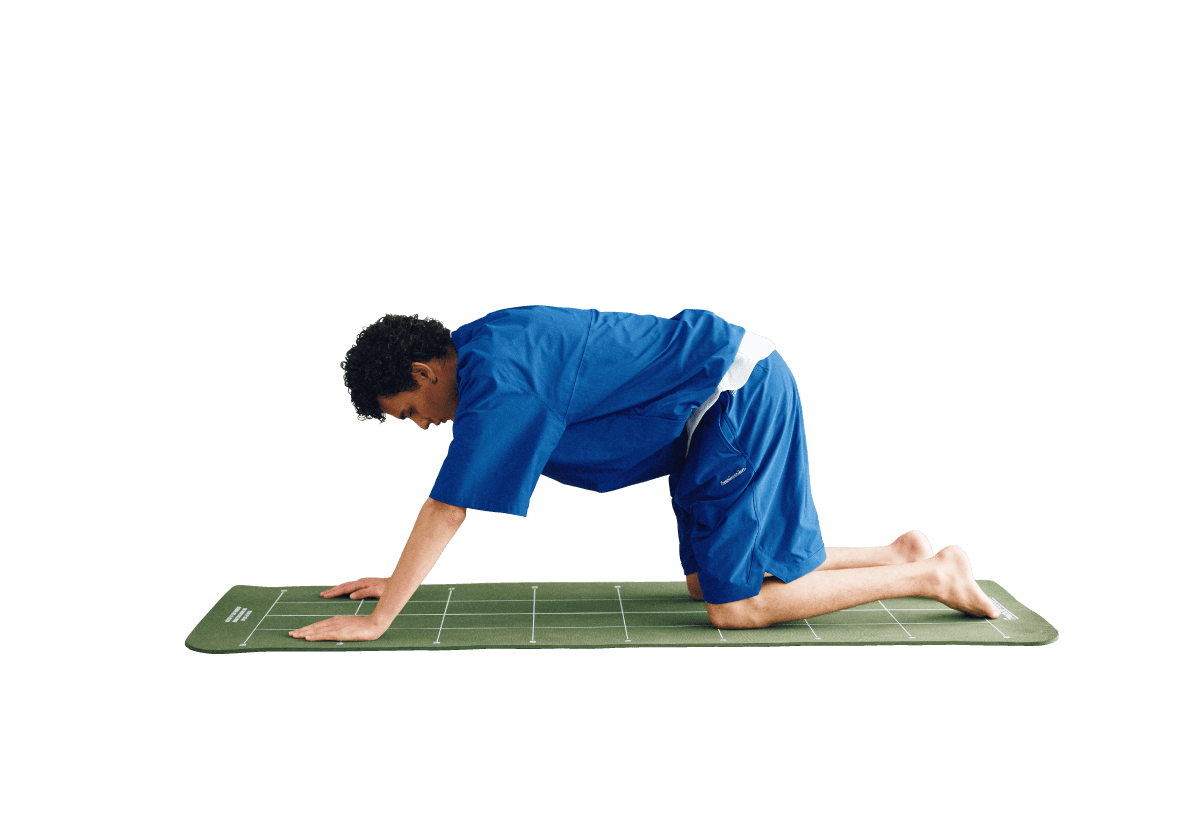 お腹と背中:動的ストレッチ