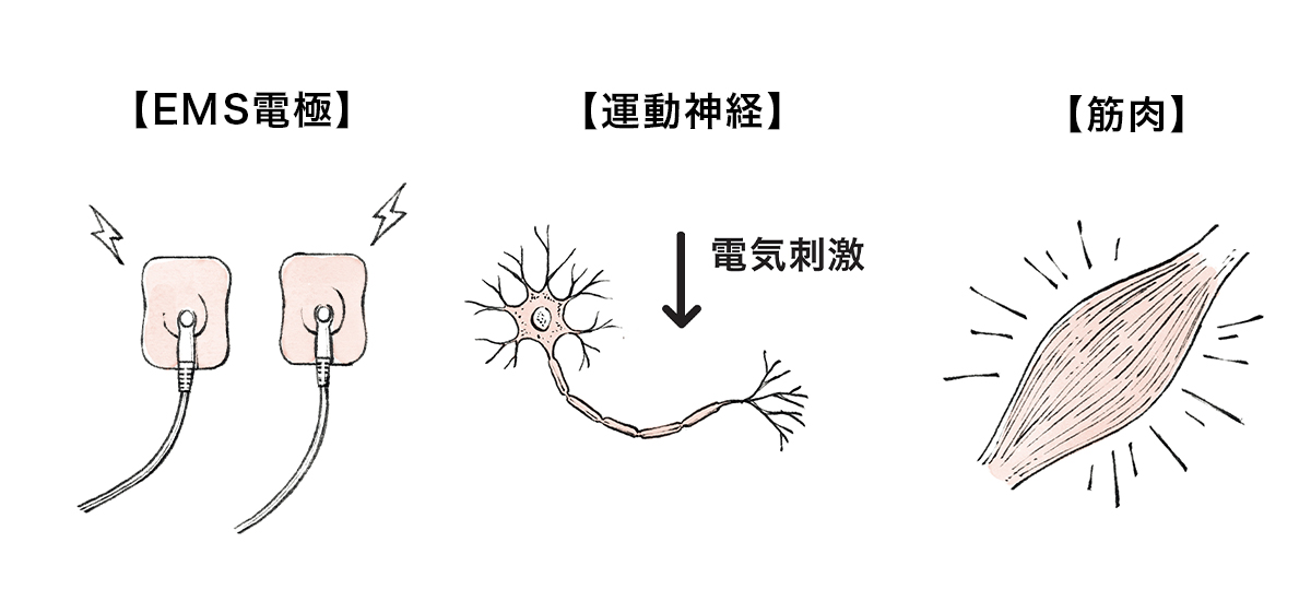 EMSのシステム
