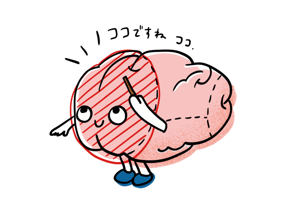 前頭前野の位置をイラストで表している