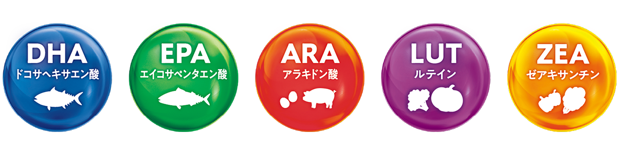 5つの成分:DHA、EPA、アラキドン酸、ルテイン、ゼアキサンチン