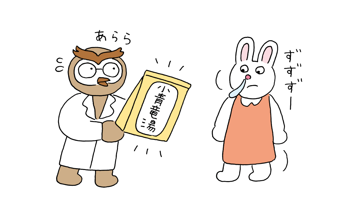鼻水が出ているうさぎに小青竜湯を処方している様子